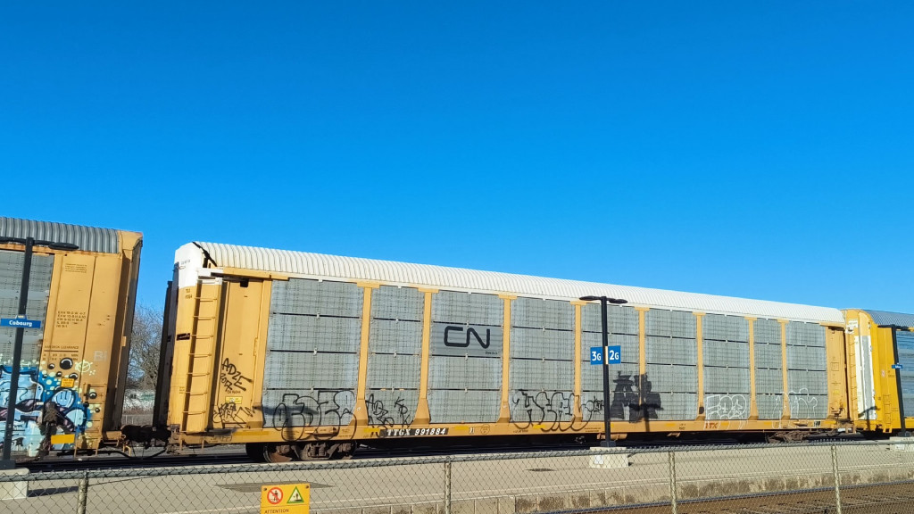 CN 96044 (Body) TTGX 991884 (Flat)